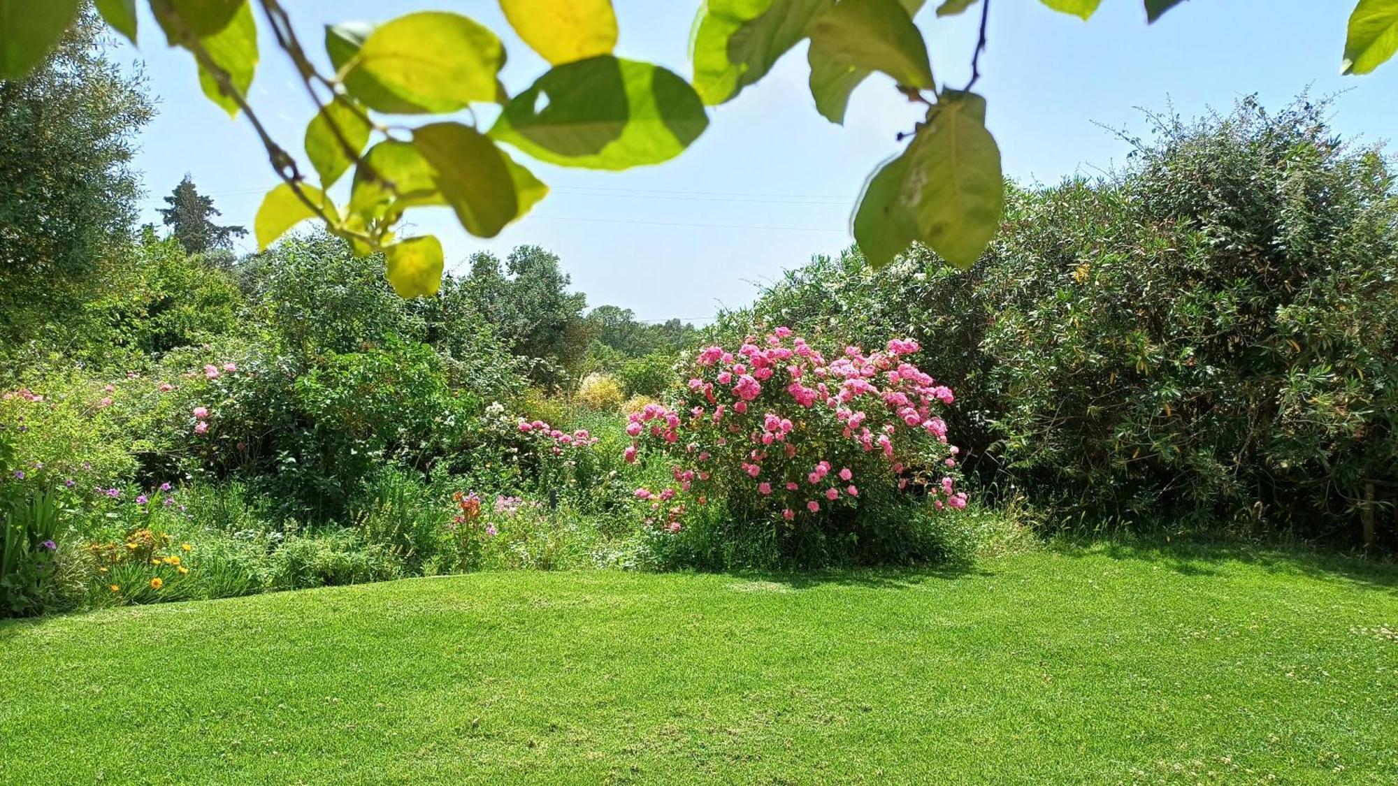 Monte Da Serralheira Agro Turismo Evora Luaran gambar